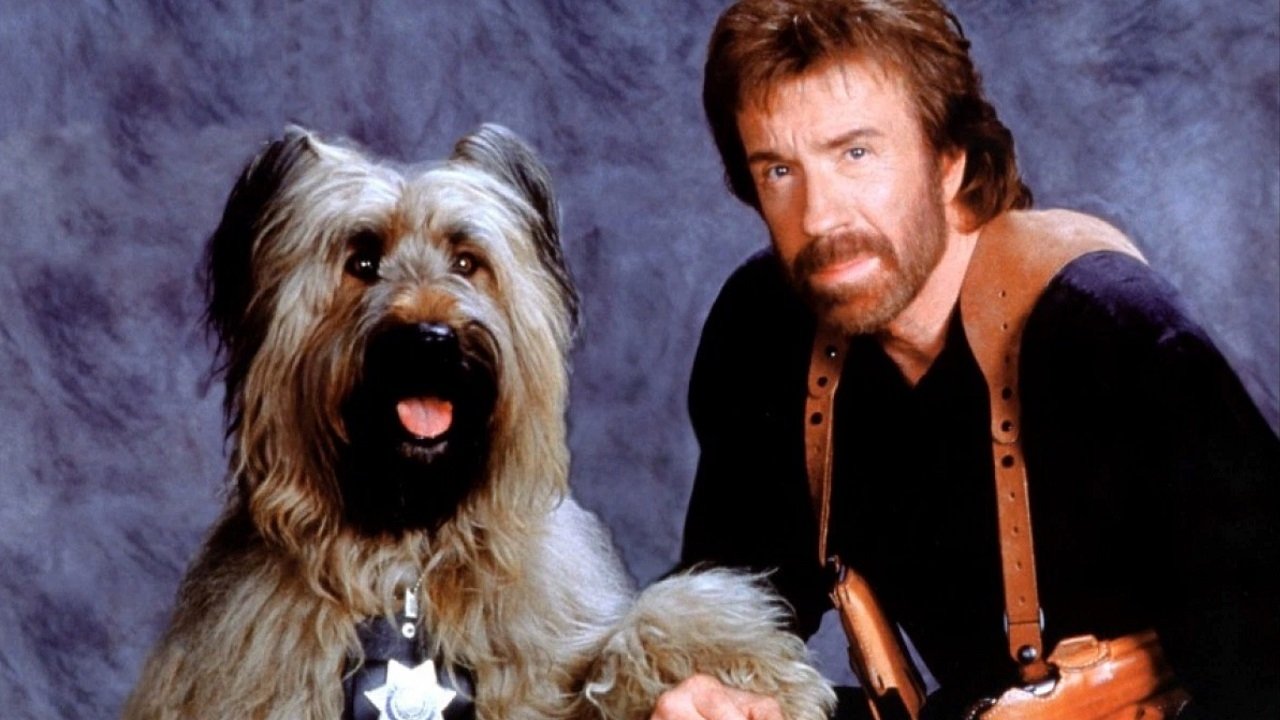 Главная собака