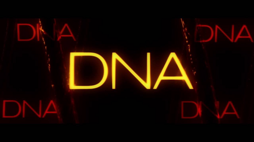 Смотреть фильмы от студии DNA Films онлайн в хорошем качестве на KinoLampa