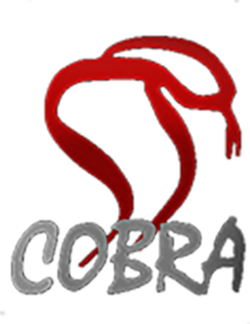 Смотреть сериалы от студии Cobra Film Department онлайн в хорошем качестве на KinoLampa