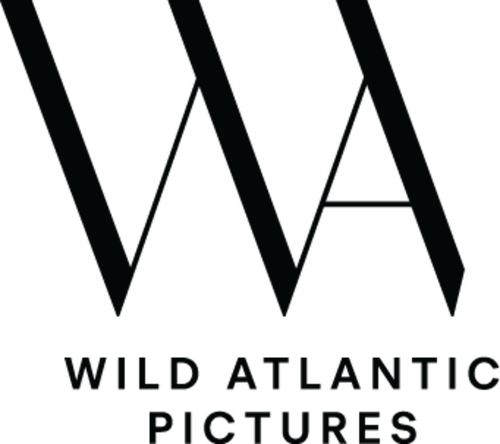 Смотреть фильмы от студии Wild Atlantic Pictures онлайн в хорошем качестве на KinoLampa