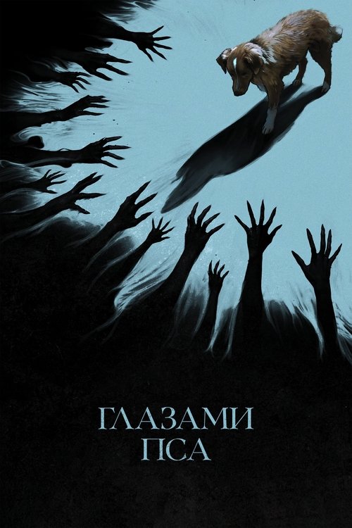 Глазами пса