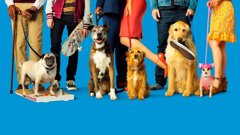 Собачьи дни